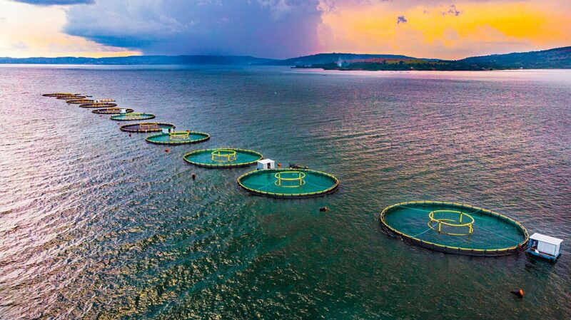 Sustainable Fisheries Management for Long‑Term Profit Sustainable Fisheries Management for Long‑Term Profit