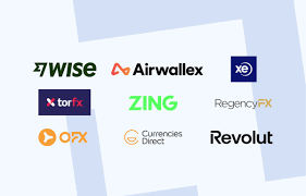 Key Players in International Money Transfers