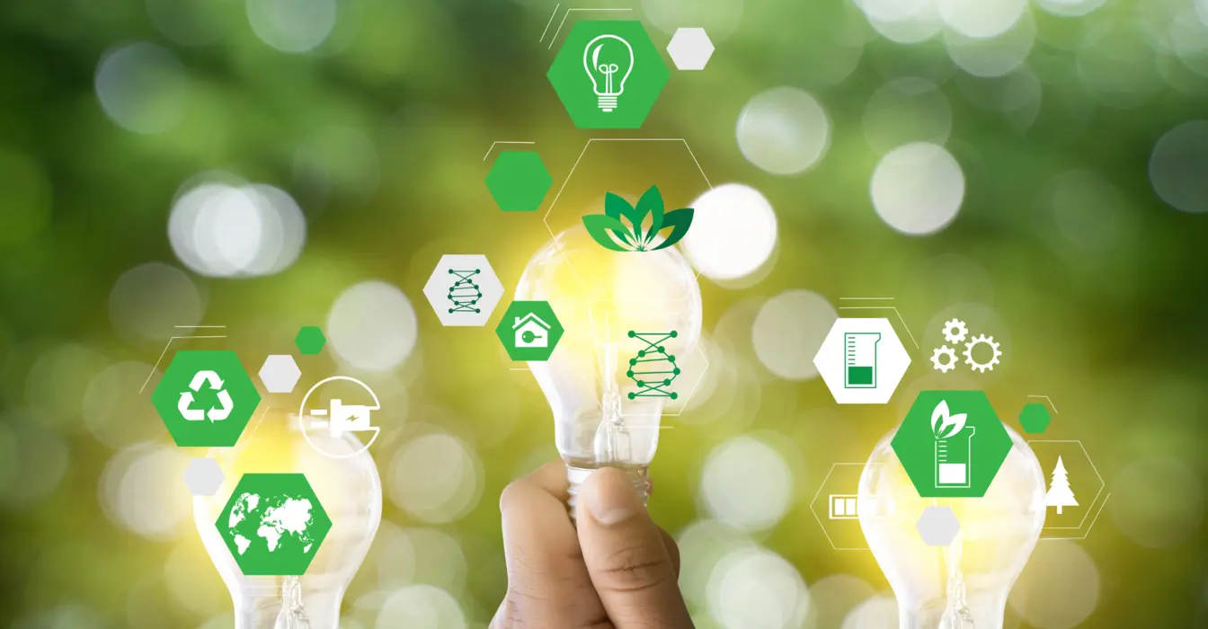 Why Eco-Friendly Branding Matters More Than Ever Why Eco-Friendly Branding Matters More Than Ever