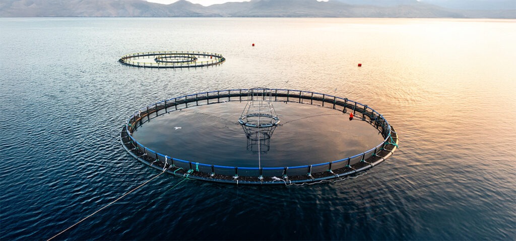 Aquaculture Innovations That Boost Food Security Aquaculture Innovations That Boost Food Security