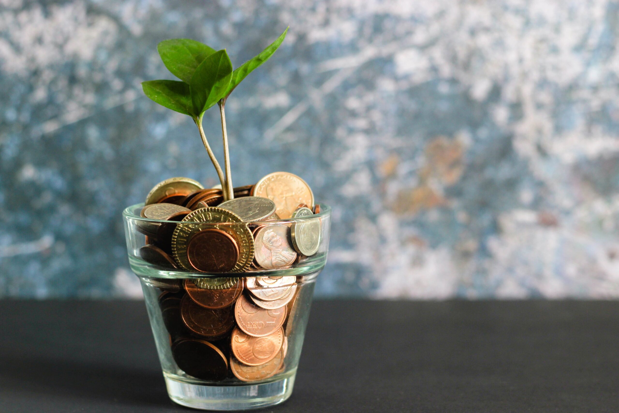 Best Blogs to Follow for Financial Independence Advice